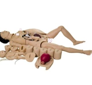 Advanced Nursing ChildBirth Training Model 2