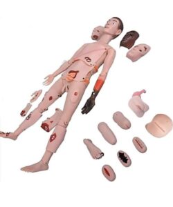 Advanced Trauma Nursing Training Simulator 1