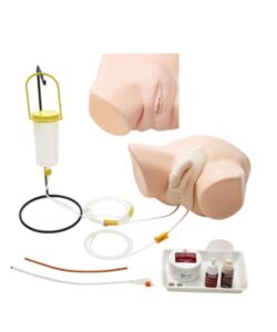 Female Catheterization & Enema Model 1