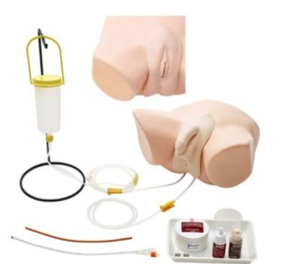 Female Catheterization & Enema Model 1
