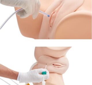 Female Catheterization & Enema Model 2