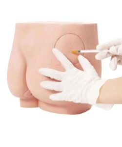 Nursing Intramuscular Buttock Injection Model 2