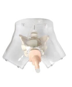 Transparent Male Urethral Catheterization Simulator XC-400 1